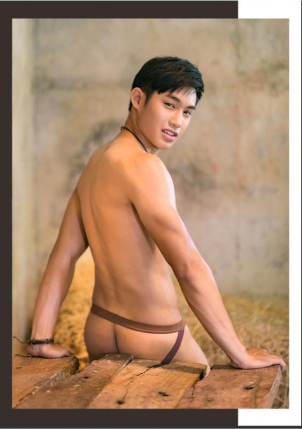 Brothers-Vol.15---Diamond